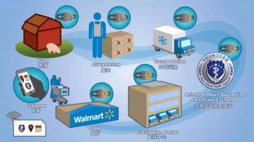 物流托盤 智能化標簽 區(qū)塊鏈新模式,打造透明的供應(yīng)鏈